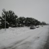 la grande nevicata del febbraio 2012 021